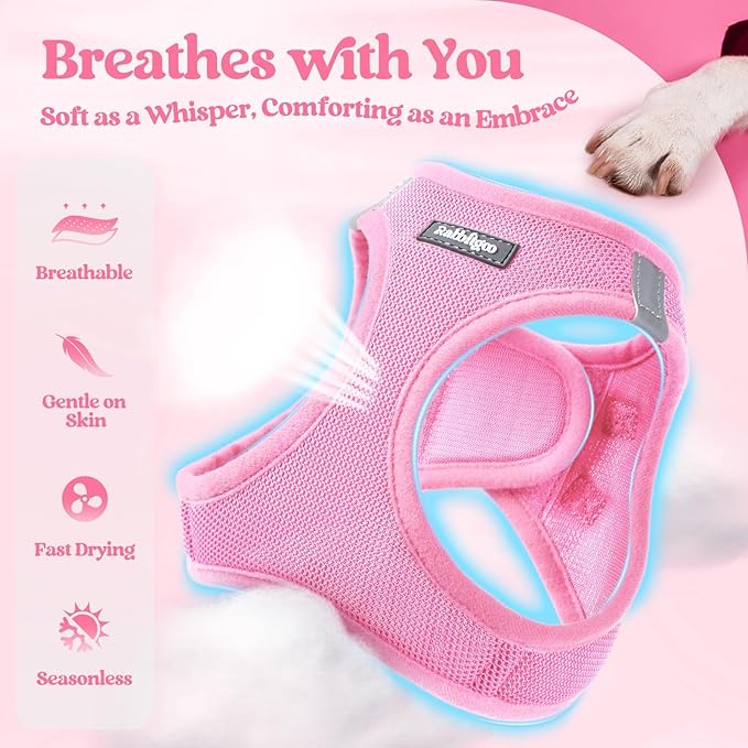 rabbitgoo Dog Harness Small Medium Sized and Leash Set, Step in Soft Light Puppy Vest, Breathable Mesh Pet Harness, Reflective for Safe Easy Walking, Light Pink L