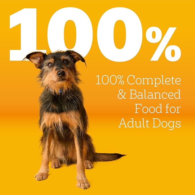 Pedigree Adult Dry Dog Food, Complete Nutrition, Roasted Chicken & Vegetable Flavor, 3.5 lb. Bag