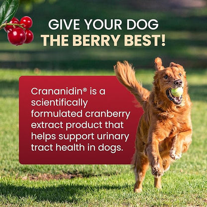 Crananidin Urinary Tract Health Supplement Chewable Tablets for Dogs, (Pack of 2)