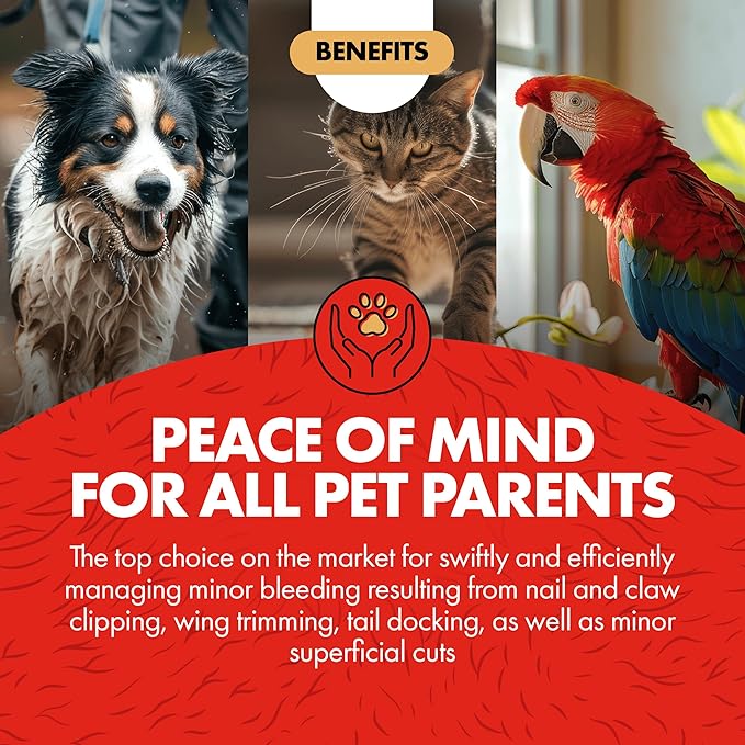 Miracle Care Kwik Stop Styptic Powder for Dogs, Cats and Birds, 0.5 Ounce (Pack of 6), Fast Acting Blood Stop Powder with Pain Relieving Benzocaine