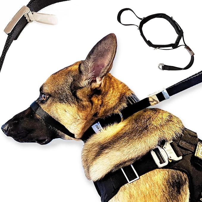 PetsProMax No-Pull Dog Headcollar for Large Dogs (Agressive/Reactive Dogs; Instant Stop Pulling; Gentle Training Collar for Dogs; Comfortable, Safe, and Effective Walking/Training Solution (Black, L)