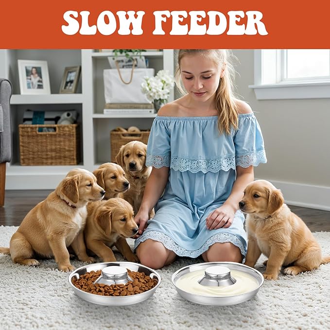 4 Pcs Stainless Steel Puppy Weaning Bowls, Cat Bowls for Food Water, Multiple Puppies Feeder Whelping Dishes, Litter Feeding Station Pans for Small Dogs Cats Eating at Same Time