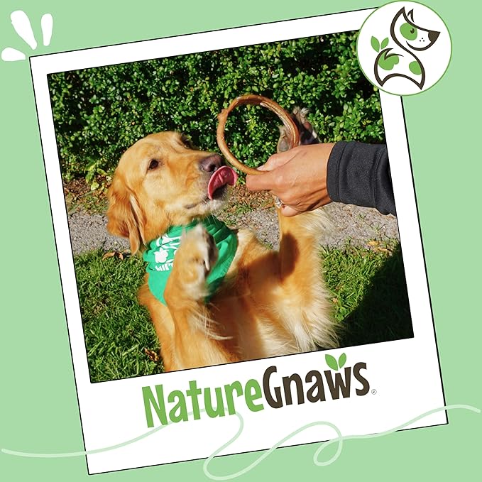 Nature Gnaws Bully Stick Rings for Dogs (5 Count) - Long Lasting for Aggressive Chewers - Natural Beef Dog Chew Bones - Rawhide Free