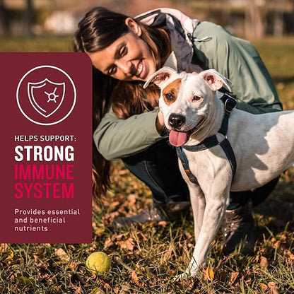 VetIQ Multivitamin Supplement for Dogs, Supports Active Brain Function, Immune System, and Digestive System, Hickory Smoke Flavored Dog Multivitamin, Made in The USA, 60 Count (Pack of 2)