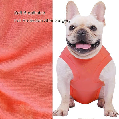 Dog Surgery Recovery Suit - After Spay, Abdominal Wounds Post Surgical Recovery, Anti Licking Breathable Dog Onesies for Small, Medium & Large Pet, Alternative Bandages Cone E-Collar