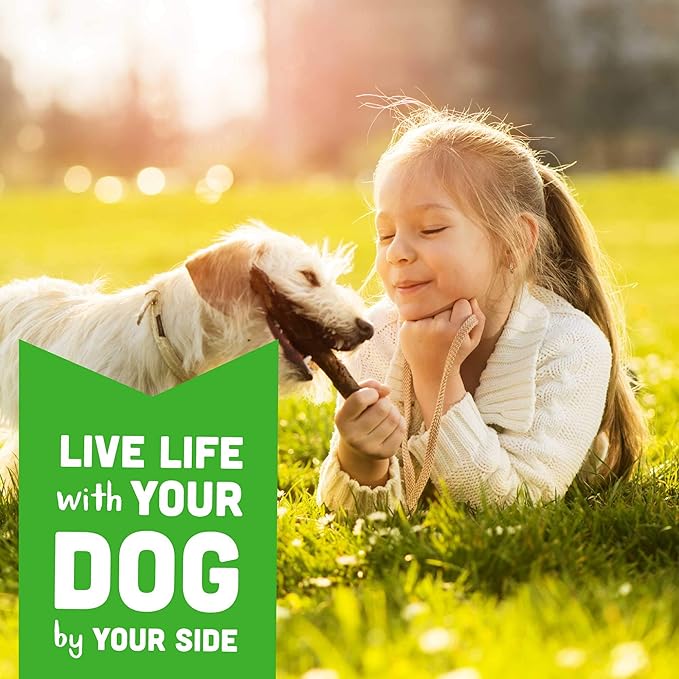 Cloud Star Wag More Bark Less Soft Chews Grain Free Dog Treats, Chicken & Sweet Potato, 5 oz. Bag