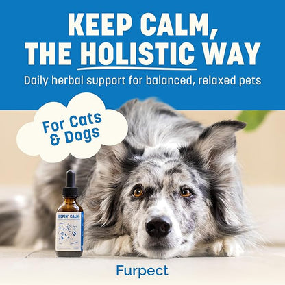 Keepin' Calm Ashwagandha Drops for Dogs & Cats - Calming Aid for Fireworks, Storms, Travel & Separation - Herbal Stress Relief, Non-Drowsy, 60ml