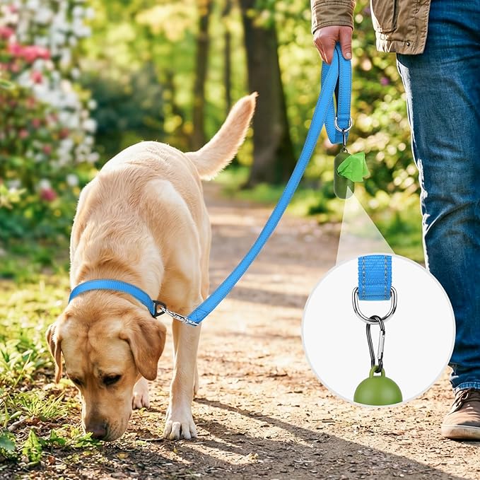 Joytale Dog Leash, 4 FT Double-Sided Reflective, Padded Handle Nylon Heavy Duty Leashes for Small Dogs Walking, SkyBlue