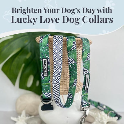 Lucky Love Dog Collar and Leash Set, Beautiful & Vivid Patterns, Easy On & Off Clasp Accessory (Blue Laguna, XS Combo)