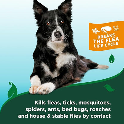 Vet's Best Natural Flea & Tick Dog Shampoo – Plant-Based Formula with Cotton Spice Scent – Natural Dog Shampoo with Essential Oils for Flea and Tick Support – Made in USA – 12 oz Bottle