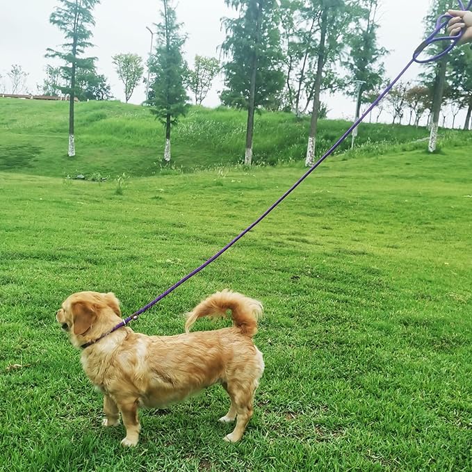 WYUZE 2 Pack 8 ft Slip Lead Dog Leash, Reflective No Pull Dog Training Lead, 1/3" Nylon Rope Slip Leash for Small Medium Dogs (Purple+Green)