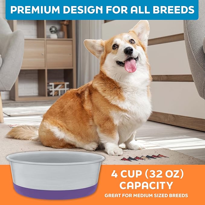 Master Pet Supply Stainless Steel Dog Bowls Set of 2 with Extra Thick Silicone Base - 4 Cup (32 oz) Plum Crazy, Non-Slip, Dishwasher Safe Metal Bowls, Pet Dog Food Bowl for Dogs, Cats, Anti Rust