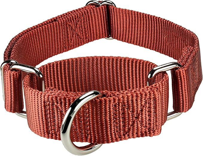 Mikivery Martingale Dog Collar Nylon Adjustable and Safety Training Colourful Comfortable Metal Buckle Pet Collars for Small Medium and Large Dogs(Brick Red,M)