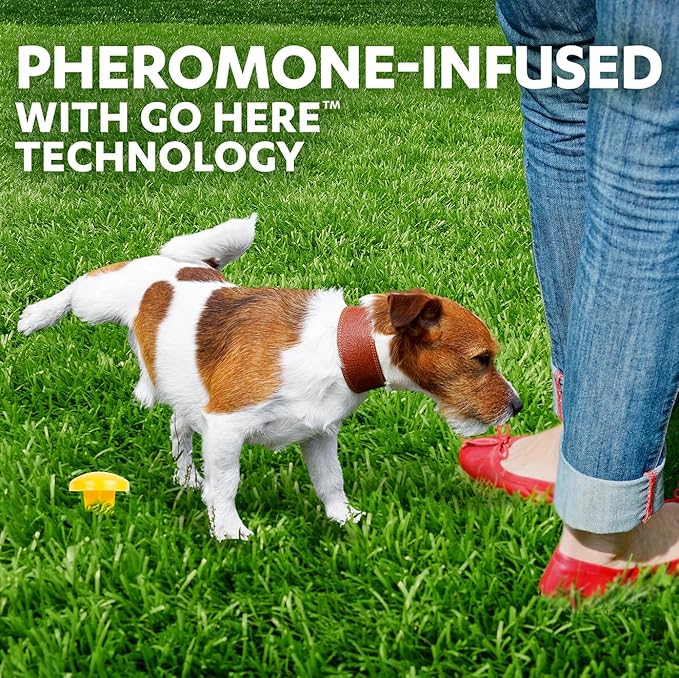 Simple Solution Pee Post Outdoor Dog Training Aid, 13-Inch Pheromone Infused Yard Marking Stake for Puppy Potty Training, Housebreaking, Lawn and Garden Dog Pee Attractant, Reusable Potty Helper