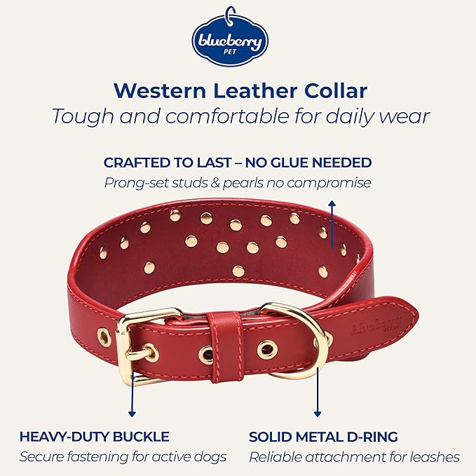 Blueberry Pet Western Leather Dog Collar - Genuine Leather with Floral Embroidery & Pearl Studs, Adjustable 18-22 Inch Neck for Large Dogs, Comfortable and Stylish Pet Collar