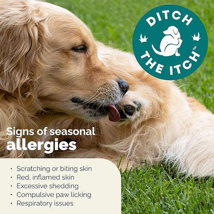 Vetnique DermaBliss Dog Allergy Chews for Seasonal Allergy Itch Relief, Skin & Gut Health with Probiotics and Omega 3 Blend - Advanced or Regular Strength (120ct, Advanced Strength Chews)