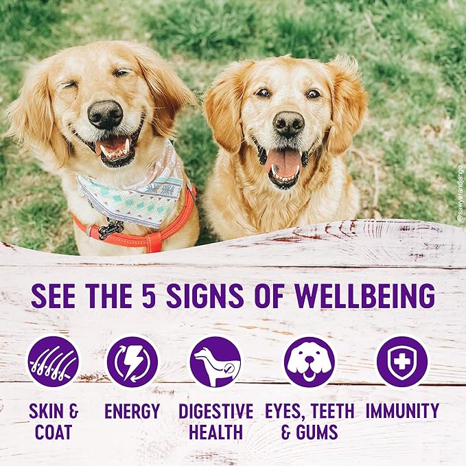 Wellness Complete Health Pate Variety Pack Adult Canned Wet Dog Food, Wholesome Grains, Natural, 12.5 oz, Pack of 6 Cans