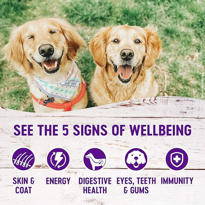 Wellness Complete Health Pate Variety Pack Adult Canned Wet Dog Food, Wholesome Grains, Natural, 12.5 oz, Pack of 6 Cans