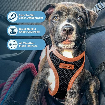 Best Pet Supplies Voyager Step-in Air All Weather Mesh Harness and Reflective Dog 5ft Leash Combo with Neoprene Handle, for Small, Medium and Large Breed Puppies - Set (Black/Orange Trim), Large
