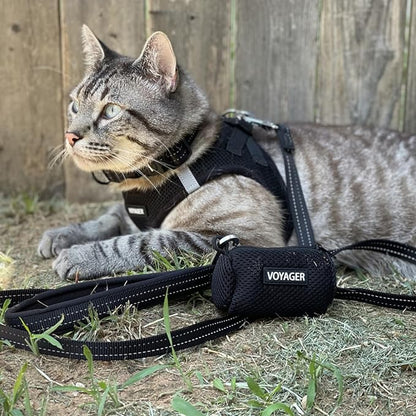 Best Pet Supplies Voyager Step-in Air All Weather Mesh Harness and Reflective Dog 5ft Leash Combo with Neoprene Handle, for Small, Medium and Large Breed Puppies - Set (Black), Medium