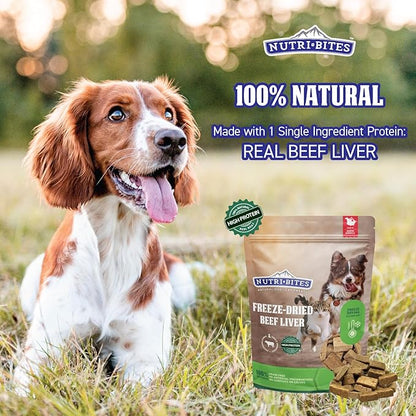 Nutri Bites Freeze Dried Beef Liver Dog & Cat Treats, Single Ingredient High Protein Pet Treats, 17.6 oz