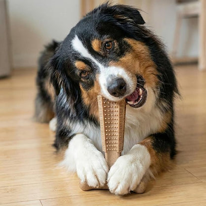 SPOT Bam-Bones Plus T-Bone Dog Chew Toy, Bamboo Fiber & Nylon, Chicken Flavor, Durable Non-Splintering Chew for Moderate to Aggressive Chewers, Dogs 30-60 lbs, 6 Inch