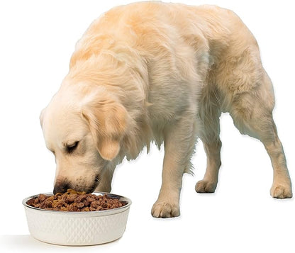 PetRageous 16011 Kona Stainless Steel Non-Slip Dishwasher-Safe Dog Bowl 6.5-Cup 8.5-Inch Diameter 2.75-Inch Tall for Large and Extra Large Dogs and Cats, White