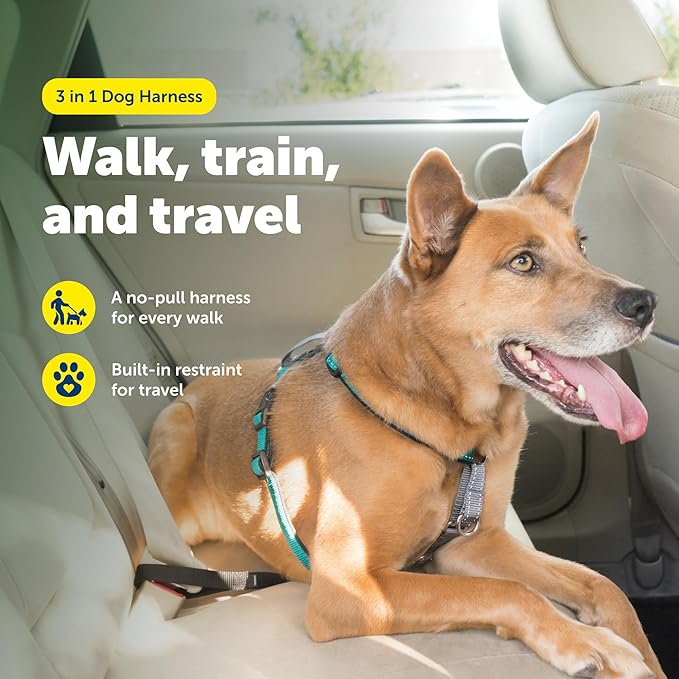 PetSafe 3-in-1 Harness - Comfortable Easy-Walk Dog Chest Harness with Front Leash Attachment to Reduce Pulling, Choking & Gagging - Dog Obedience Gear - Medium - Teal