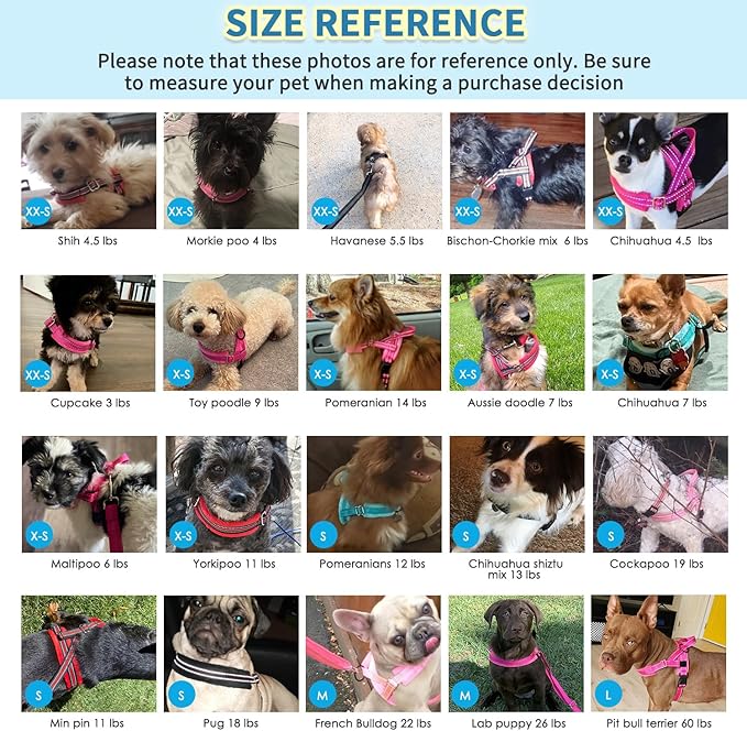 SlowTon No Pull Small Dog Harness and Leash Set, Puppy Soft Vest Harness Neck & Chest Adjustable, Reflective Lightweight Harness & Anti-Twist Pet Lead Combo for Small Medium Dogs (Fuchsia, S)