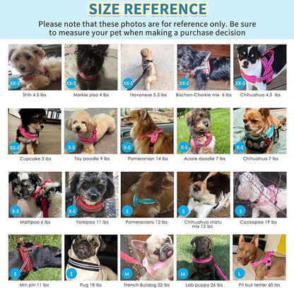 SlowTon No Pull Small Dog Harness and Leash Set, Puppy Soft Vest Harness Neck & Chest Adjustable, Reflective Lightweight Harness & Anti-Twist Pet Lead Combo for Small Medium Dogs (Fuchsia, S)