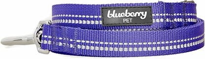 Blueberry Pet 3M Reflective Pastel Color Dog Leash with Soft & Comfortable Handle, 5 ft x 3/4", Violet, Medium, Leashes for Dogs