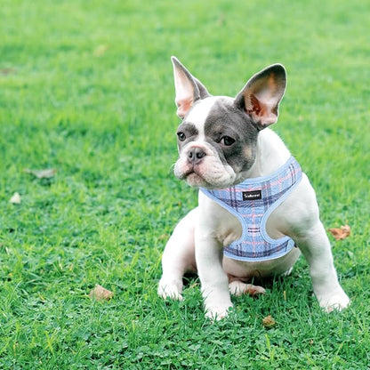 SCENEREAL Puppy Dog Harness with Leash Set for Small Medium Sized Dogs, Soft Mesh Pet Harnesses and Leash, No Chock Plaid Adjustable No Pull Vest for Dogs Cats, Chihuahua,Bulldog (Blue M)