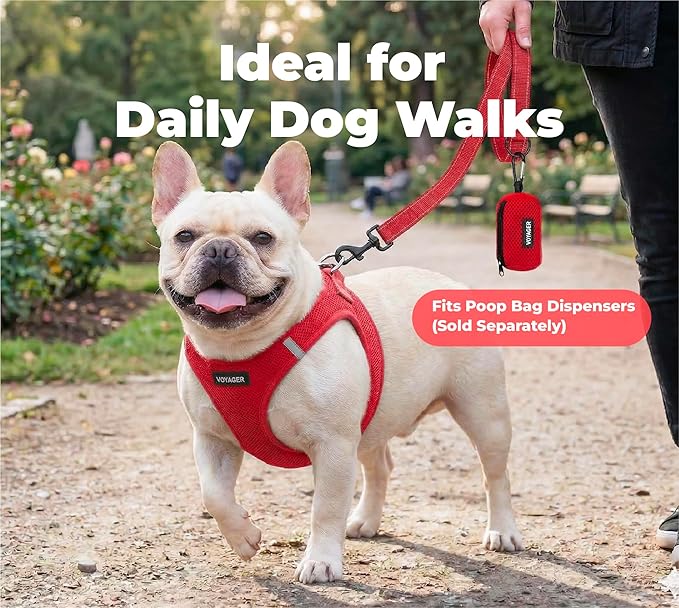 Best Pet Supplies Voyager Reflective Dog Leash or Collar with Neoprene Handle, for Small, Medium, and Large Breed Puppies, Cute and Heavy Duty for Walking, Running and Training - Red (Leash), M