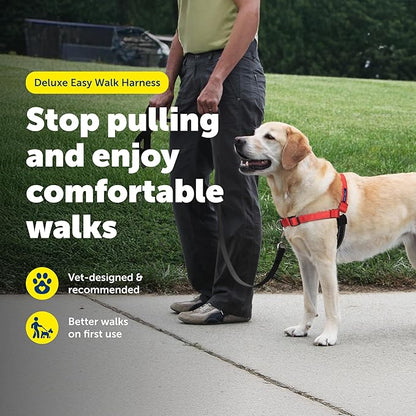 PetSafe Deluxe Easy Walk Harness - Trainer-Trusted Dog Chest Harness with Breathable Martingale Loop Design - Helps Stop Pulling with No Choking & Gagging - Medium/Large - Rose
