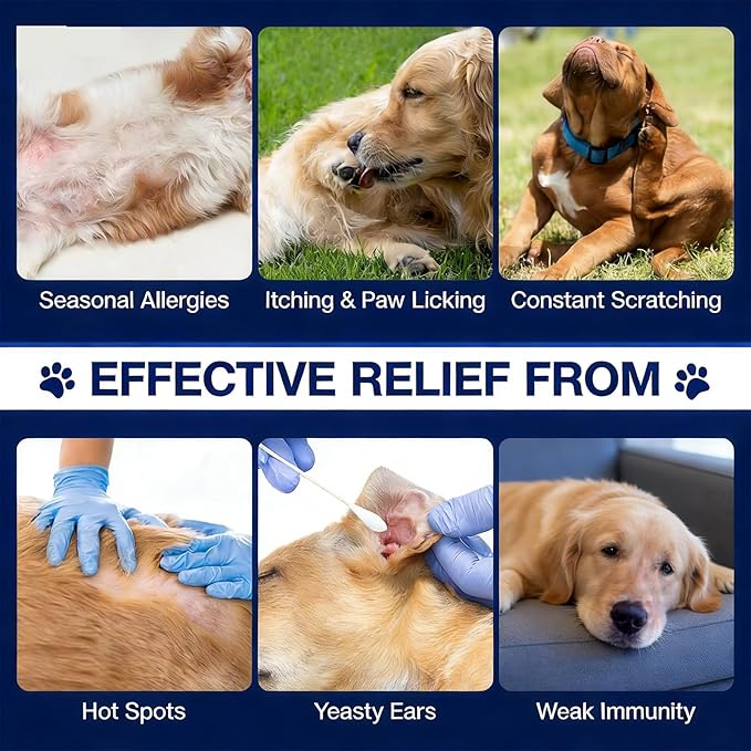 180 Chews Dog Allergy Chews, Itching Skin Relief, Natural Dog Allergy Relief Treatment for Paw Licking, Hot Spots, Anti-Itch, Dry Skin, Allergies & Immune Support Supplement