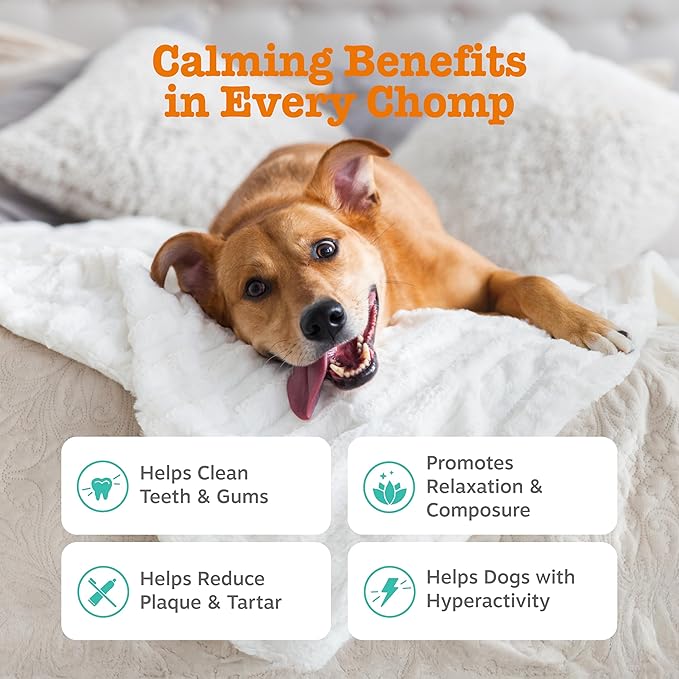 Zesty Paws OraStix for Dogs - Calming Dental Sticks for Stress with Hemp Melatonin Chamomile Dog Healthy Teeth and Gums Calm Composure for Fireworks and Thunderstorms - 25oz