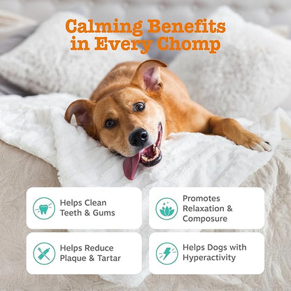 Zesty Paws OraStix for Dogs - Calming Dental Sticks for Stress with Hemp Melatonin Chamomile Dog Healthy Teeth and Gums Calm Composure for Fireworks and Thunderstorms - 12oz