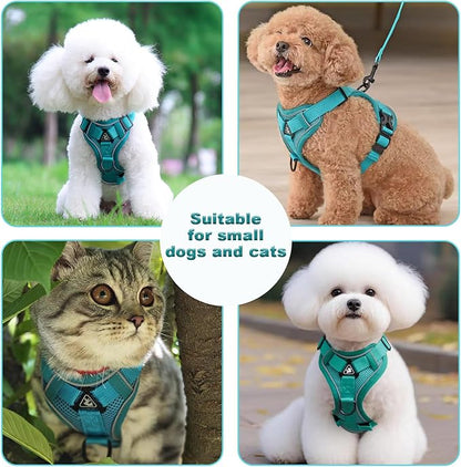 SOLMOONY Small Dog Harness,Soft Mesh Puppy Harness and Leash Set,No Escape Cat Harnesses for Training Walking,Reflective Adjustable Puppy Vest for Small Medium Dogs, Cats (Turquoise, XL)