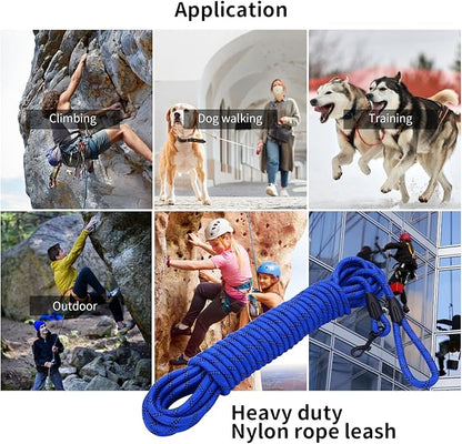 Long Dog Leash for Training 50Ft-Reflective Nylon Rope with Swivel Hook-Recall Agility Lead for Large Small Medium Dogs Outside Walking Hiking-Royal Blue Diam 1/2"