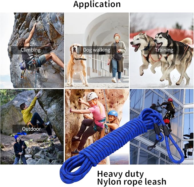 Long Dog Leash for Training 30Ft-Reflective Nylon Rope with Swivel Hook-Recall Agility Lead for Large Small Medium Dogs Outside Walking Hiking-Royal Blue Diam 1/2"