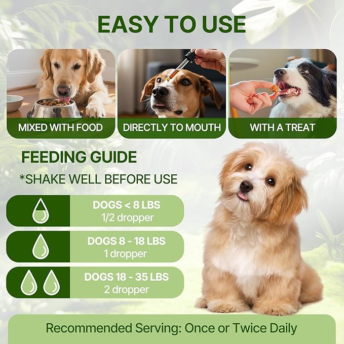 Bladder & Kidney Stones Dissolver for Dogs – Helps with Stone and Crystals Fragment Flush & Prevention – Natural Dog UTI Treatment, Herbal Vet-Formulated, Dog Urinary Tract Infection Treatment