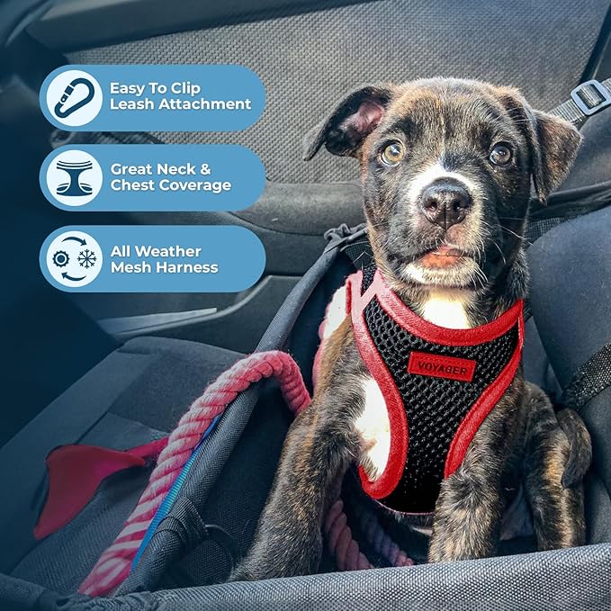 Best Pet Supplies - All Weather Mesh/Plush, Reflective, No Pull Harness for Small, Medium Dogs, Cats - Secure with Hook & Loop Fastener, Buckle, Double D-Rings - Black/Red Trim, XS