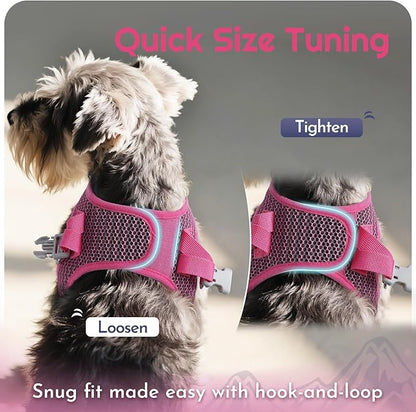 Eagloo Small Dog Harness and Leash Set, Step in Puppy Vest with Breathable Soft Mesh, Walking Reflective Pet Harness for Extra Small Dogs, Rose Red, XXS