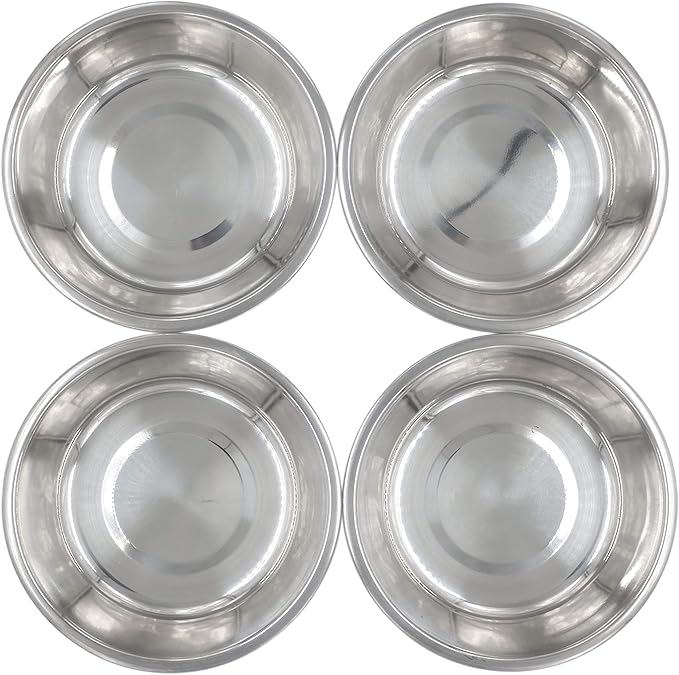 Stainless Steel Dog & Cat Bowls - 4-Pack