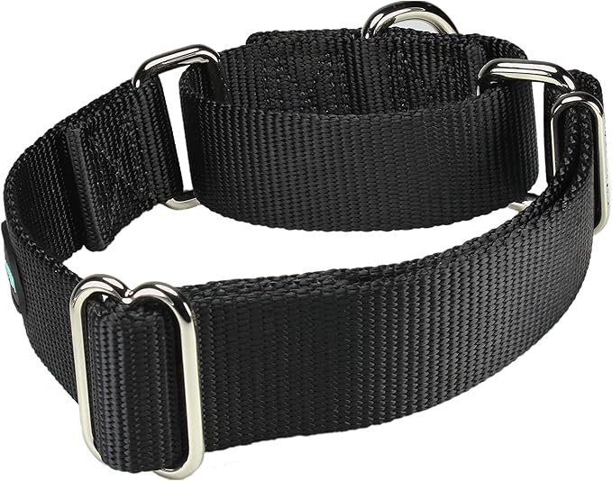 Mikivery Martingale Dog Collar Nylon Adjustable and Safety Training Colourful Comfortable Metal Buckle Pet Collars for Small Medium and Large Dogs(Black,M)