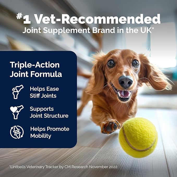 YuMOVE Hip & Joint Supplement for Dogs with Glucosamine, Hyaluronic Acid, Green Lipped Mussel & Omega 3 Joint Supplement - Regular or Advanced Strength (90ct Chews, Advanced Strength)