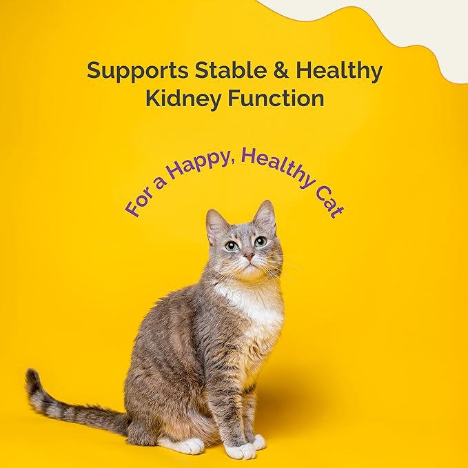 Kidney Support Drops | Cat Health & Wellness Drops with Rehmannia | Liquid Vitamins & Supplements for Kidney Function | Natural Cat Wellness Formula | 80 ml
