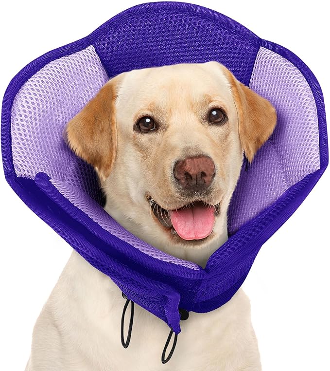 AOFITEE Large Dog Cone - Soft Dog Cone Stop Licking, Adjustable Extra Large Cones Dogs for Wound Healing, Pet Elizabethan Cones Collar After Surgery, XL Fabric Pet E-Collar, Purple X-Large