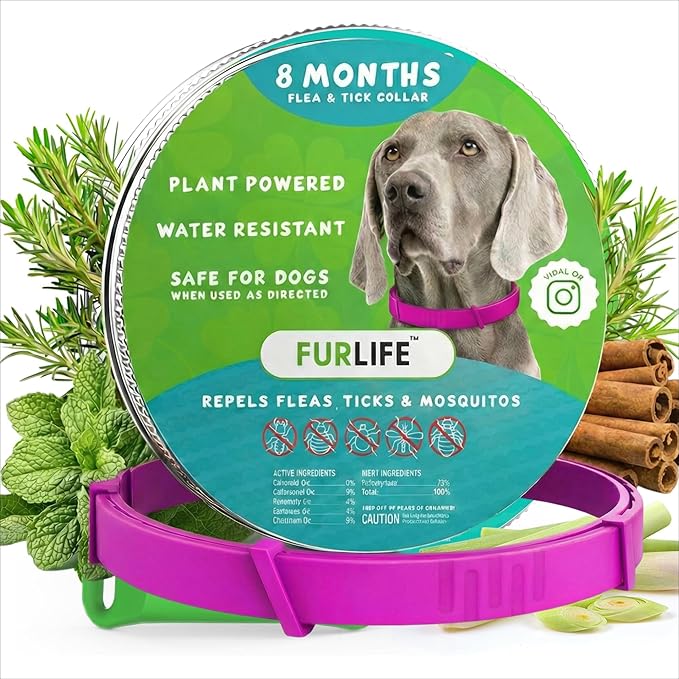 FurLife Flea and Tick Collar for Dogs – Waterproof Pink Dog Collar, Pet Supplies for Tick and Flea Prevention for Dogs, Safe for All Breeds