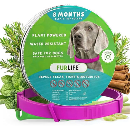 FurLife Flea and Tick Collar for Dogs – Waterproof Pink Dog Collar, Pet Supplies for Tick and Flea Prevention for Dogs, Safe for All Breeds